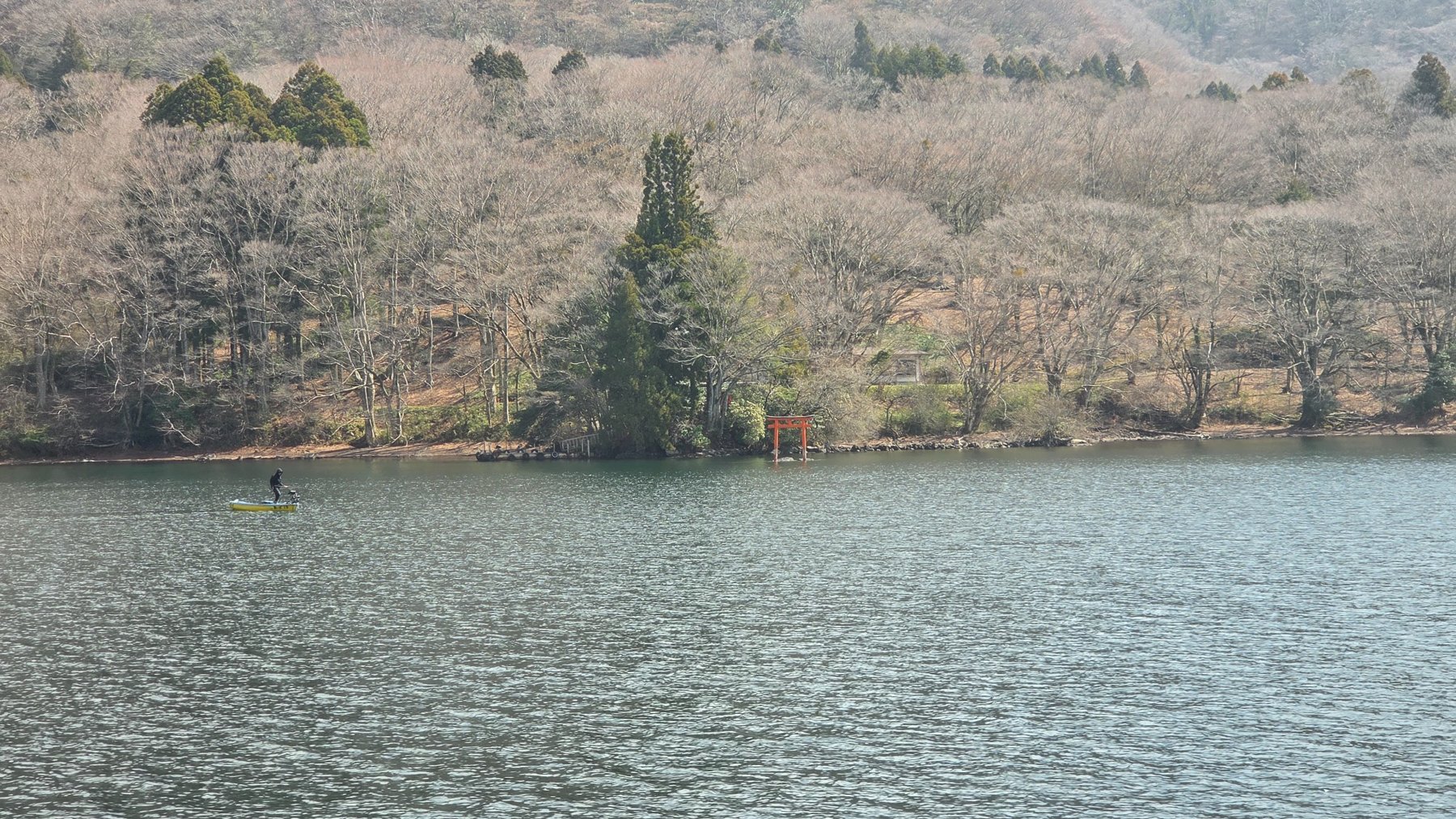 芦ノ湖の水面と木々が広がる湖岸